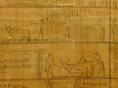 Le travail des champs, sur un papyrus égyptien.