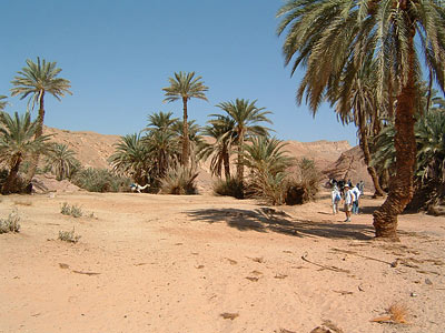 Une oasis dans le désert du Sinaï