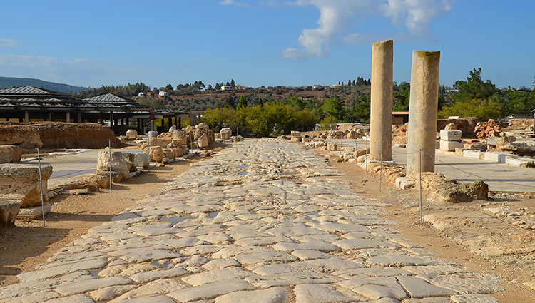 cardo de Sepphoris