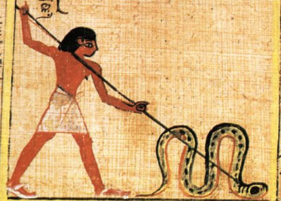 Combat contre le serpent Apophis