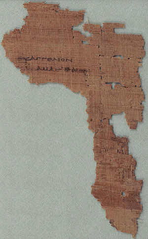 papyrus